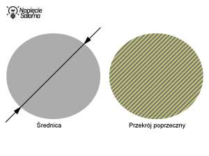 Średnica żyły a przekrój poprzeczny żyły