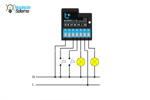 SwitchBoxD schemat podłączenia Blebox