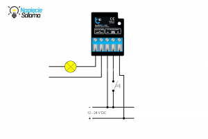 Schemat podłączenia switchBox DC Blebox