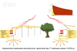 Ogranicznik przepięć Typu 1 - przykład zastosowania