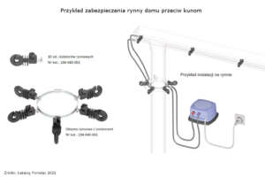 Jak zabezpieczyć rynnę przed kunami?