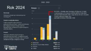 Analiza przypadku - produkcja i zużycie energii elektrycznej w poszczególnych latach
