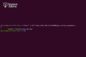 Komunikat błędu „invalid_rest_api_key” w terminalu po wysłaniu błędnego zapytania curl do urządzenia FOX. Przykład nieudanej autoryzacji w integracji REST API i MQTT w Smart Home.