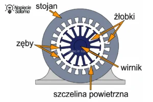 Budowa silnika asynchronicznego z oznaczeniem stojana, wirnika, żłobków, zębów oraz szczeliny powietrznej