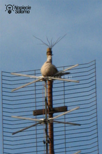 Instalacja Odgromowa LPS zewnętrzny (84)