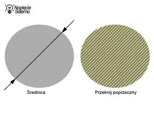 Jaka jest różnica pomiędzy średnicą a przekrojem poprzecznym żyły? Średnica żyły a przekrój poprzeczny żyły