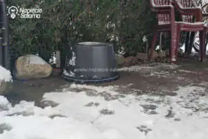 Jak w praktyce, sprawdza się podgrzewana miska na wodę dla psa? Jak w praktyce, sprawdza się podgrzewana miska na wodę dla psa?