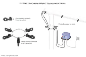 Szczegóły budowy zabezpieczenia rynny przed kunami Jak zabezpieczyć rynnę przed kunami?