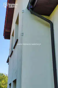 Jak przepędzić z domu kuny? W jaki sposób wykonać ochronę narożnika budynku przed kunami