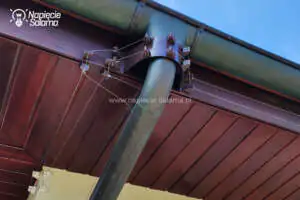 Jak zabezpieczyć dom przed kunami? Pastuch na kuny - szczegóły zabezpieczenia rynny
