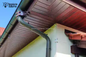 Jak skutecznie pozbyć się kun? Jak skutecznie pozbyć się kuny?