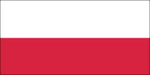 Polskojęzyczna wersja artykułu
